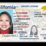 Get Your CDL License with an F1 Visa