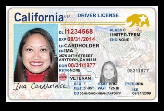 Get Your CDL License with an F1 Visa