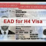 H4 Visa Holders A Pathway to Work Authorization