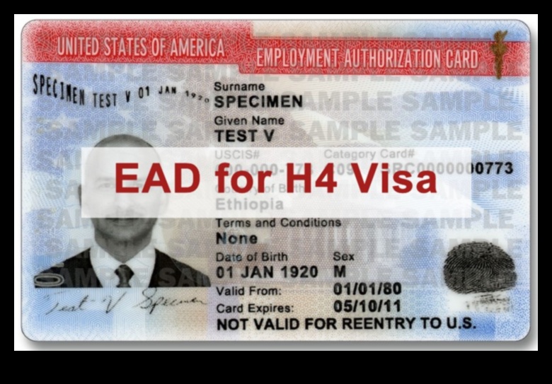 H4 Visa Holders A Pathway to Work Authorization