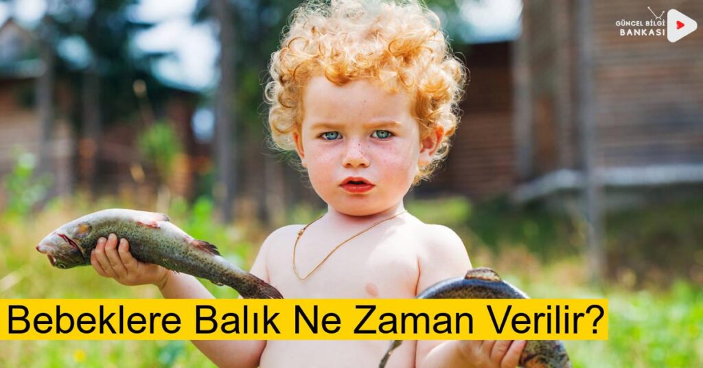 Bebeklere Balık Ne Zaman Verilir? (Pratik Taktikler)