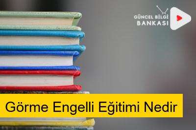 Görme Engelli Eğitimi Nedir