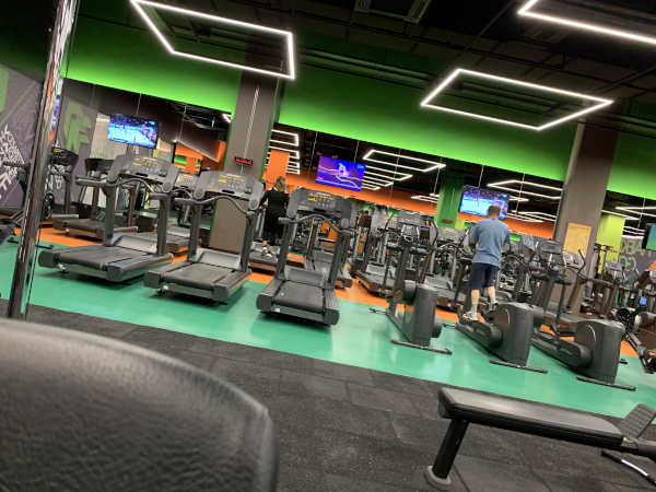 MACFit Cepa AVM