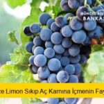 Pekmeze Limon Sıkıp Aç Karnına İçmenin Faydaları