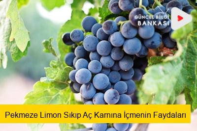 Pekmeze Limon Sıkıp Aç Karnına İçmenin Faydaları